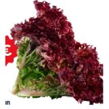 Bild von Lollo rot-grün MPREIS 1 Stück