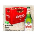 Budweiser Lager BILLA PLUS 0.50 Liter 20 Stück