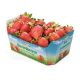 Spar Natur pur Geschmackvolle Bio-Erdbeeren SPAR 400 Gramm 1 Packung
