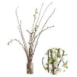 Dehner Kirschzweige Dehner 1 Bund