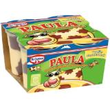 Promotion Bild von Dr. Oetker Paula Pudding Penny 500 Gramm 1 Packung