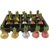 Hyazinthe gewachst & geglitzert, Preisangabe ohne MwSt. (Preis inkl. MwSt. 2,99 €), METRO 1 Stück