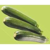 Bild von Eferdinger Zucchini Maximarkt  1 Kilogramm