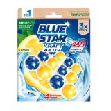 Blue Star WC-Beckensteine div. Sorten BIPA 3 Stück