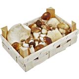 Mischpilze Harmonie, Preisangabe ohne MwSt. (Preis inkl. MwSt. 10,99 €), METRO 1 Kilogramm