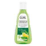 Guhl Shampoo Frische & Leichtigkeit dm 250 Milliliter 1 Flasche