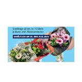 Silvesterstrauss HOFER 1 Bund