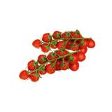 Promotion Bild von Echt Bio Kirschtomaten jö Bonus Club Preis Penny 200 Gramm 1 Packung