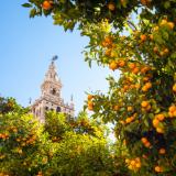 Promotion Bild von Andalusien, Spanien, Rundreise, pro Person ab 1290,00 € bei willweg.at