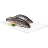 Gut Dornau Lachsforelle, Preisangabe ohne MwSt. (Preis inkl. MwSt. 17,59 €), METRO 1 Kilogramm