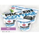 Schärdinger Cottage Cheese Protein BILLA PLUS 500 Gramm 1 Packung