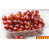 Trauben dunkel, kernlos BILLA PLUS 500 Gramm 1 Packung