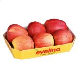 Apfeltasse „evelina“ Penny 1 Kilogramm