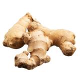 Promotion Bild von Echt Bio Ingwer Penny 1 Kilogramm