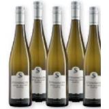 Steininger Grüner Veltliner Kamptal DAC Maximarkt 0.75 Liter 1 Flasche