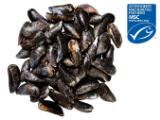 Fischerstolz MSC Miesmuscheln Lidl 1 Kilogramm