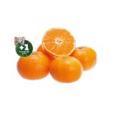Mandarinen jö Bonus Club Preis Penny 750 Gramm 1 Netz