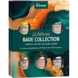 Promotion Bild von Kneipp Geschenkset Wellness Bade Collection Bade-Essenz dm 5 Stück 1 Set
