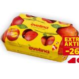 Äpfel Evelina BILLA PLUS 1 Kilogramm 1 Packung
