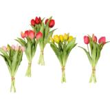 Tulpenbund 50790022 XXXLutz 1 Bund