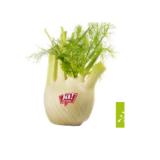 Bild von Ja! Natürlich Bio Fenchel Sutterlüty 1 Stück