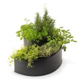 Belavi Kräuterspirale HOFER 1 Stück