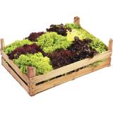 Mixsalat, Preisangabe ohne MwSt. (Preis inkl. MwSt. 1,09 €), METRO 12 Stück