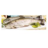 Regenbogenforelle INTERSPAR