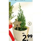 Bio-Mini-Christbaum 922911 HELLWEG 1 Stück