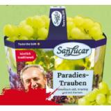SanLucar Trauben weiß »Viktoria« mit Kern BILLA PLUS 1 Kilogramm 1 Packung