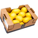 Metro Chef Zitronen unbehandelt, Preisangabe ohne MwSt. (Preis inkl. MwSt. 2,96 €), METRO 1 Kilogramm