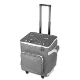Promotion Bild von Topmove Einkaufstrolley mit Kühlfunktion 40 l Lidl 1 Stück