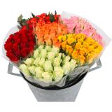 Tulpen, Preisangabe ohne MwSt. (Preis inkl. MwSt. 9,59 €), METRO 20 Stück