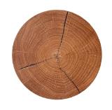 Waldwelt LED-Wandleuchte 4740008001 XXXLutz 1 Stück