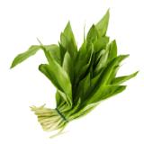 Bärlauch aus Österreich Lidl APP Preis 100 Gramm