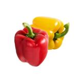 Promotion Bild von Ich bin Österreich Paprika Rot od. Gelb jö Bonus Club Preis Penny 1 Stück