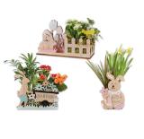 Promotion Bild von Bepflanzte Osterholzfiguren versch. Variationen Lidl 1 Stück