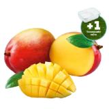 Promotion Bild von Mango Vorgereift jö Bonus Club Preis Penny 1 Stück