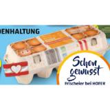 Promotion Bild von Goldland Eier aus Bodenhaltung HOFER 10 Stück 1 Packung