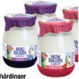 Schärdinger Bergbauern Fruchtjoghurt versch. Sorten Maximarkt 150 Gramm 1 Glas