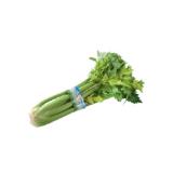 Spar Natur pur Bio-Stangensellerie SPAR Gourmet 1 Stück