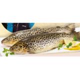 Kärnten Fisch Seeforelle Kärntna Laxn INTERSPAR 100 Gramm