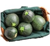 Promotion Bild von Zucchini rund Lidl 1 Stück