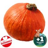 Promotion Bild von Echt Bio Speisekürbis ,,HOKKAIDO'' Penny 1 Kilogramm