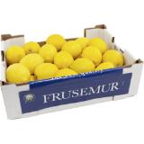 Zitronen, Preisangabe ohne MwSt. (Preis inkl. MwSt. 3,29 €), METRO 1 Kilogramm