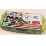 Höllerl's Freilandeier Gr. L INTERSPAR 10 Stück