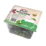 SPAR Würziger Salatmischung Asia Style SPAR 100 Gramm 1 Packung