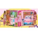 Barbie Ferienhaus Puppe und Spielset maxi.preisjoker Maximarkt 1 Set