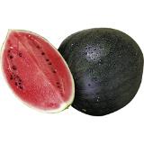 Bild von BIO Wassermelone Mini, Preisangabe ohne MwSt. (Preis inkl. MwSt. 4,39 €), METRO 1 Stück