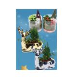 Bepflanzte Arrangements Xmas Kalandiva in Glas oder Keramik-Rentier bepflanzt HOFER 1 Stück